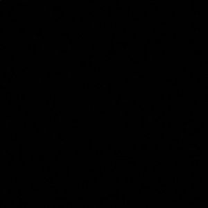 Meet your Posher, Paige